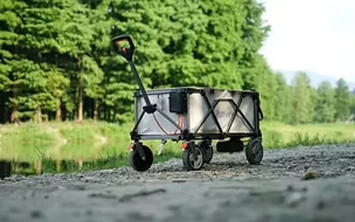 Litheli Utility Wagon